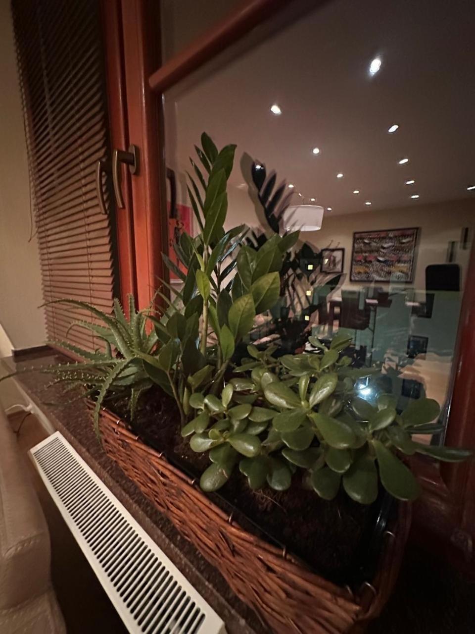 Apartament Josefina Polanica-Zdrój Exterior foto